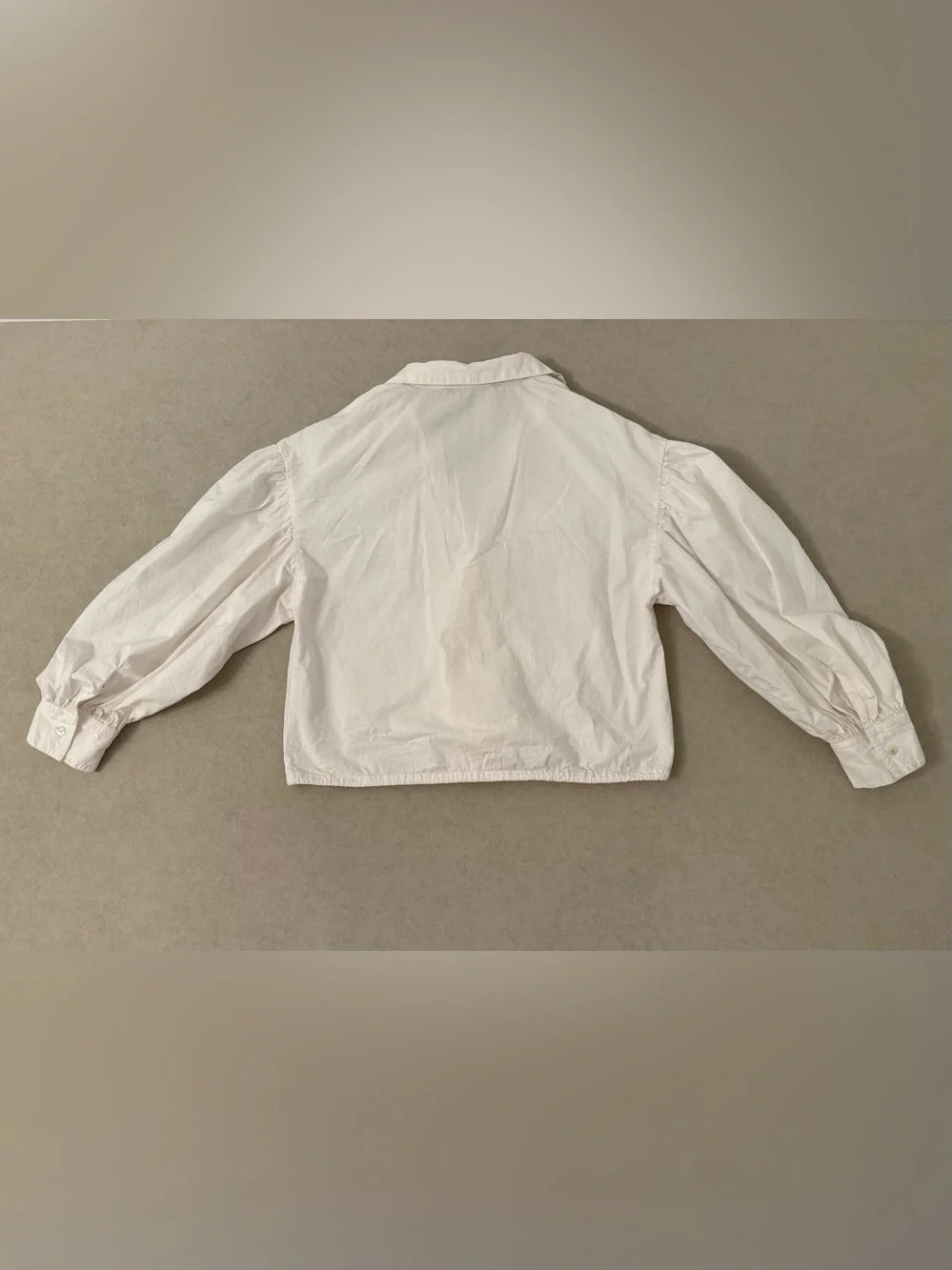 Zara White Eyelet Ruffle Collar Balloon Sleeve Boho Cropped Cotton Blouse Size L
